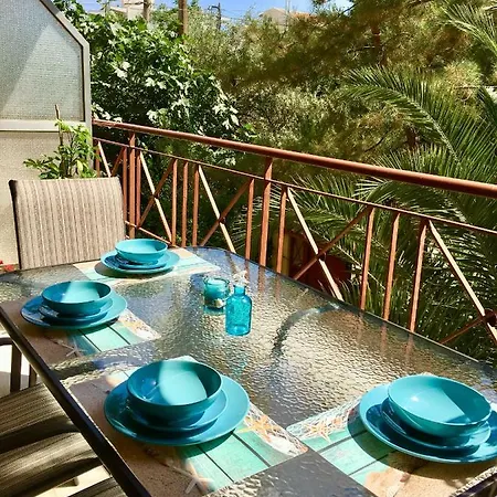 Sea Star Luxury